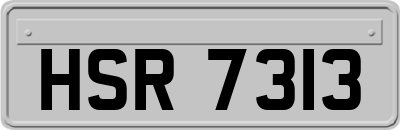 HSR7313
