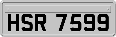 HSR7599
