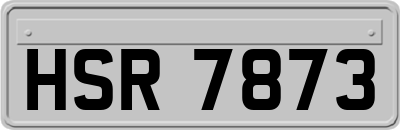HSR7873