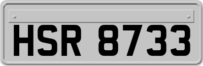 HSR8733