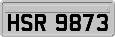 HSR9873
