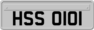 HSS0101