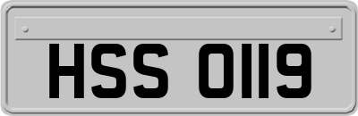 HSS0119