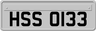 HSS0133