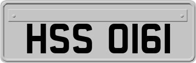 HSS0161
