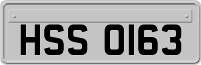 HSS0163