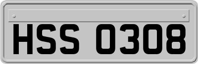 HSS0308