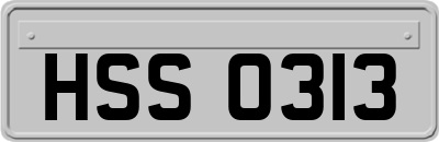 HSS0313