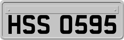 HSS0595