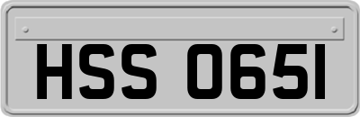 HSS0651