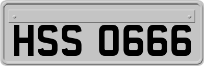 HSS0666