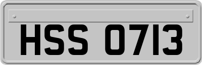 HSS0713