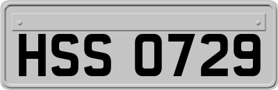 HSS0729