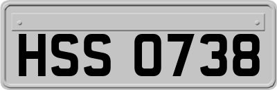 HSS0738