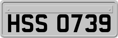 HSS0739