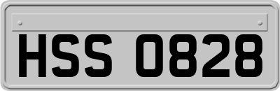 HSS0828