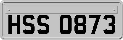 HSS0873