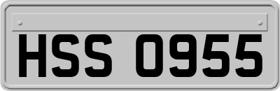 HSS0955
