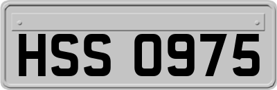 HSS0975