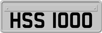 HSS1000