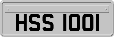 HSS1001