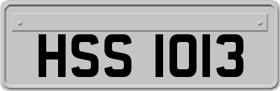 HSS1013