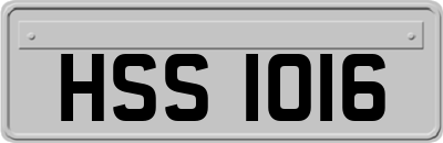 HSS1016