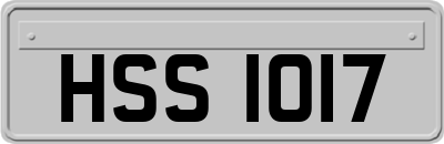 HSS1017