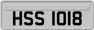 HSS1018