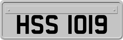 HSS1019