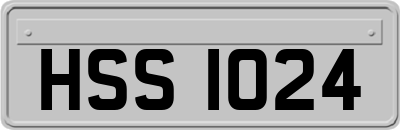 HSS1024