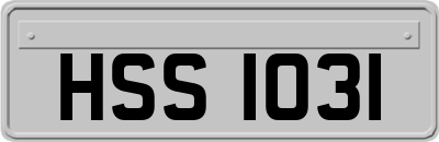 HSS1031