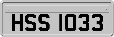 HSS1033