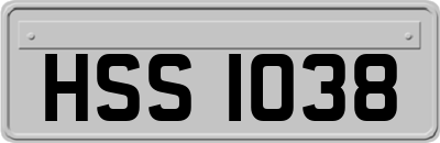 HSS1038