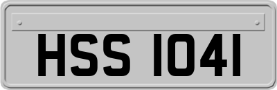 HSS1041