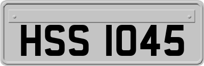 HSS1045