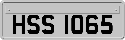 HSS1065