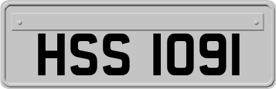 HSS1091