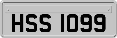 HSS1099