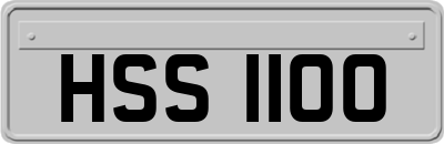 HSS1100