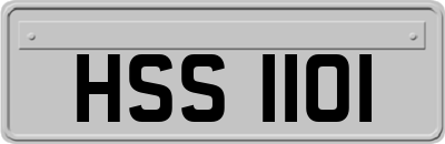 HSS1101