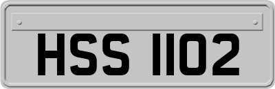 HSS1102