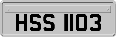 HSS1103