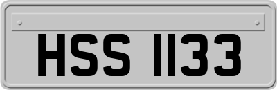 HSS1133