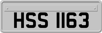 HSS1163