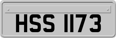HSS1173
