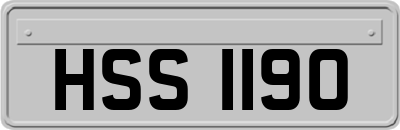 HSS1190