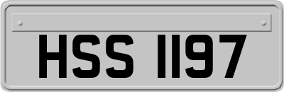 HSS1197