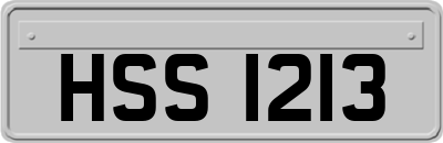 HSS1213