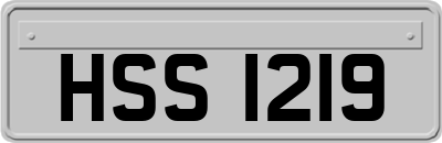 HSS1219